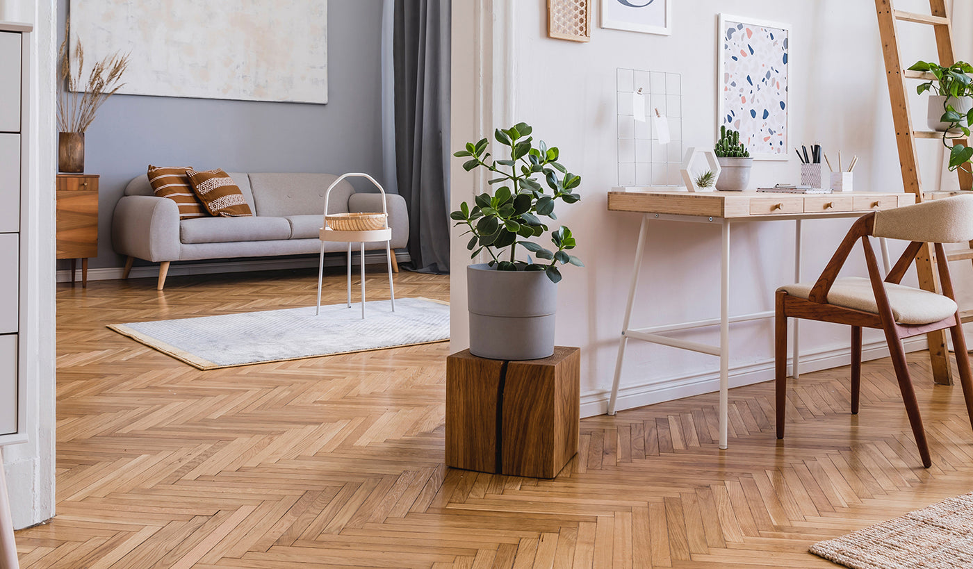 How to clean and maintain your timber floors